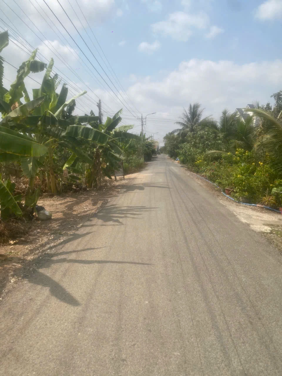 bán 2 lô đất thổ liền kề mặt tiền kênh 6m phước hậu