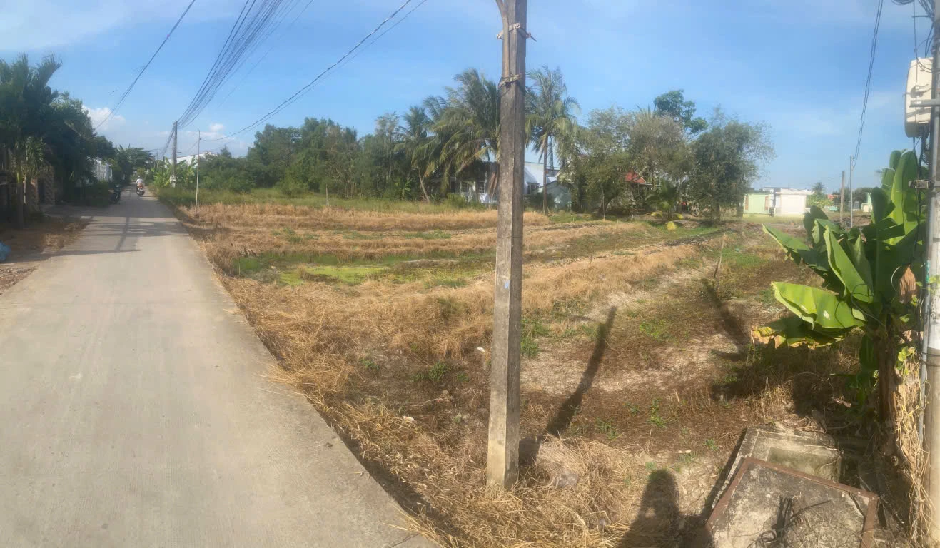 6tr một mét đất Phước Lý Cần Giuộc Long An