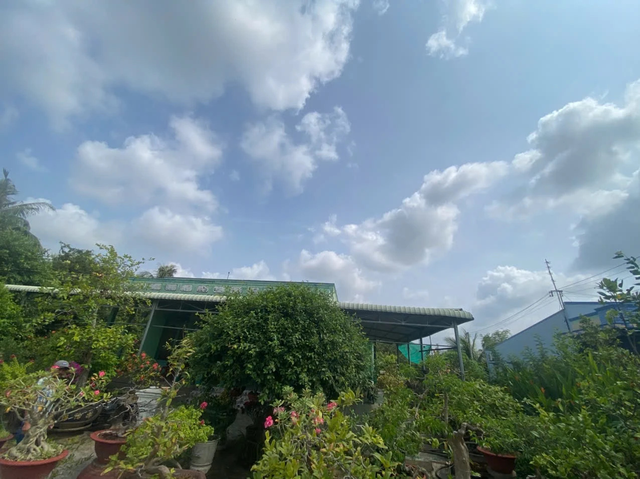 bán full 600m thổ ngay ấp xoài đôi đường ô tô chạy