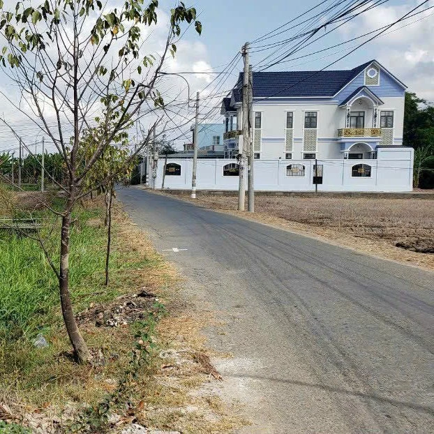 Cần Bán Lô Đất Lúa 950m² - Đường Xe Hơi 16 Chỗ Đến Tận Nơi – Mỹ Lộc, Giáp Ranh Phước Hậu, Cần Giuộc, Long An