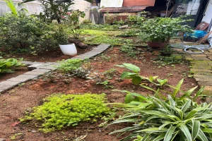 Bán nhà cấp 4 p2 tp bảo lộc