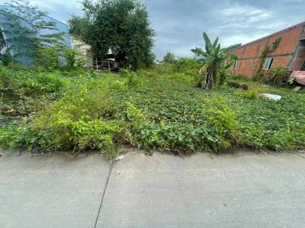 Đất thổ cần giuộc long an- cần bán 400m đường trước nhà 4met
