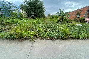 Đất thổ cần giuộc long an- cần bán 400m đường trước nhà 4met