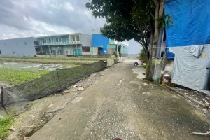 bán đất lúa long an- cần bán 1000m đất lúa đường rộng 3m