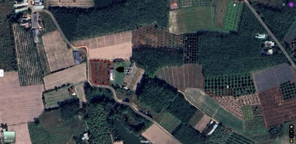 Đất có đường nhựa quy hoạch – giá chưa tới Nửa tỷ!