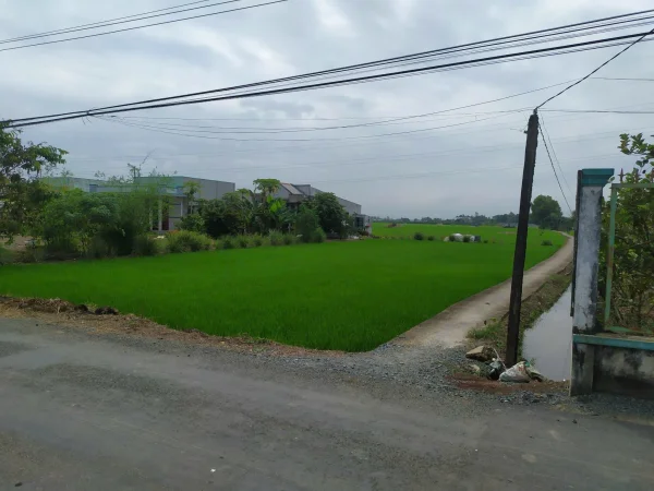 Đất Cần Đước tiếp giáp Tphcm cần bán