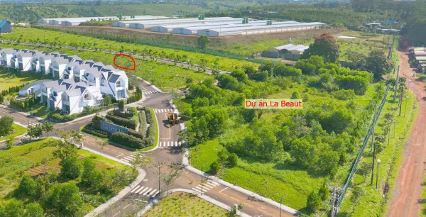 Cơ hội vàng đất biệt thự Bảo Lộc – vị trí đắc địa, pháp lý rõ ràng, giá cực hấp dẫn 162.2m2