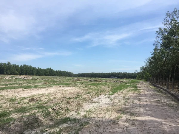 Đất DT lớn 15x25 full thổ giá 4.2 tỷ thương lượng