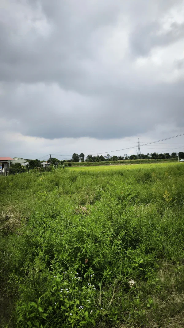 Đất nền KCN Phúc Long, diện tích 200m² – dân cư hiện hữu, trả trước nhẹ chỉ 500 triệu