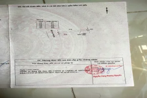 duy nhất 1 nền đất mặt tiền đường 826 – Cần Đước 4,5x50