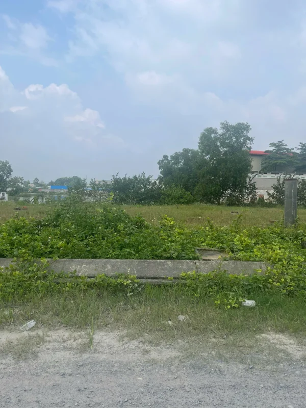 Cần bán gấp đất 200m² gần chợ Bến Lức – vị trí tiềm năng