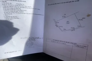 Bán 1030 lúa 2 mặt tiền