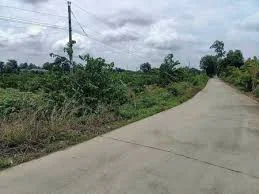 Đất nền khu Trần Anh Riverside Bến Lức – Vị trí vàng – Tiềm năng tăng mạnh!