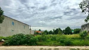 •  Đất nền trung tâm Bến Lức – Gần Chi Cục Hải Quan, giá mềm