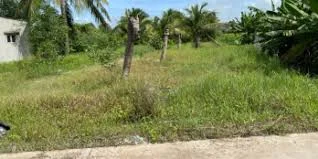 Đất đẹp chợ Thuận Đạo – đường lớn, dân cư đông, đầu tư sinh lời ngay