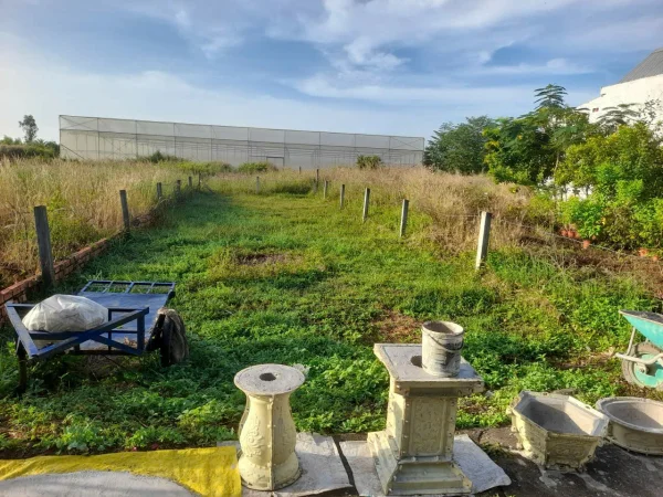 CHỦ CẦN TIỀN NÊN BÁN LỖ