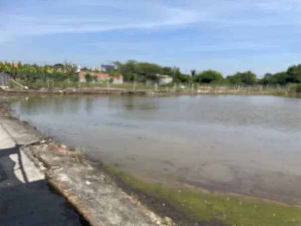 Bán 1.800m² Đất Ruộng Phước Lý Cần Giuộc Long An