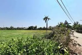 Đất đẹp trung tâm Bến Lức – đường lớn, dân cư đông, tiềm năng tăng giá