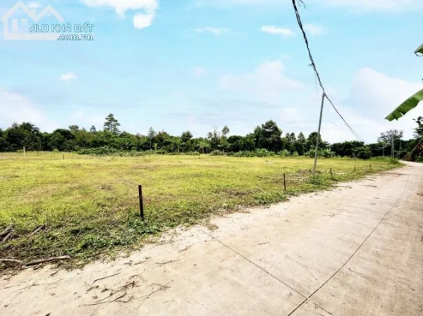 Đất ở ngay trung tâm Bến Lức, gần Võ Công Tồn – Giá tốt chưa từng có!