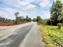 Cần bán 4349 m2 đất tại xã Thủ Thừa mới.