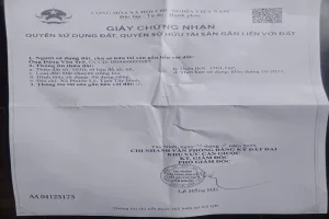 BÁN 1500m² ĐẤT LÚA – ĐƯỜNG 3M – PHƯỚC LÝ TÂY NINH