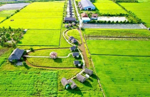 Đất lúa Bến Lức ngay trung tâm – Sổ sẵn, giá mềm cho nhà đầu tư