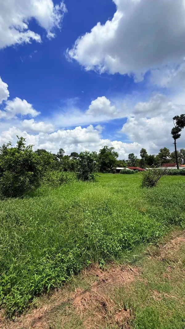 Bán nhanh lô đất đẹp Cần Đước, phù hợp an cư & đầu tư