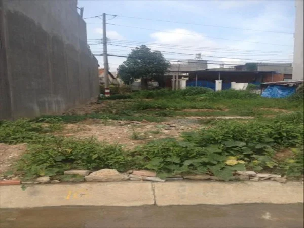 SIÊU PHẨM ĐẤT THẠNH XUÂN – 250m² FULL THỔ CƯ, GIÁ CHỈ 5,6 TỶ