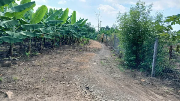 Bán Đất nông nghiệp  xã Thanh Sơn H. Định Quán T.Đồng Nai DT: 2000m2 giá  350 triệu