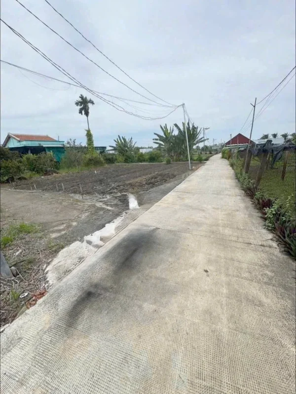 bán 1000 đất lúa thuộc phước lý tây ninh 3,5 tỷ