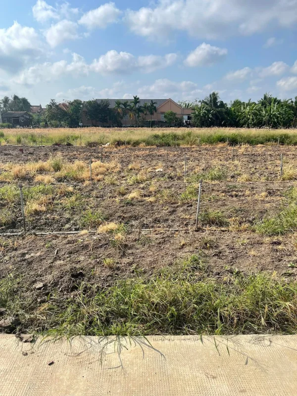 Bán đất nền 10 nền phước vân cần đước long an