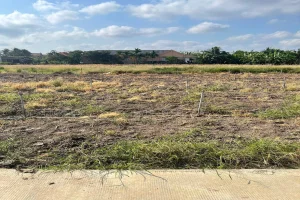 Bán đất nền 10 nền phước vân cần đước long an