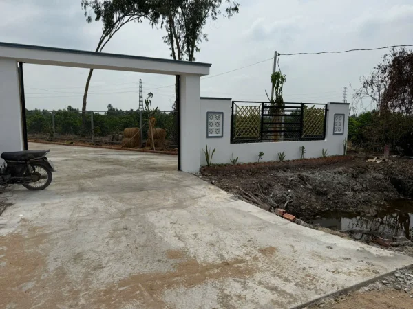 Bán Gấp Nhà Vườn Sinh Thái 1.226m² Bình Đức – Có Sẵn Nhà Mới, Ao Cá, Vườn Cây – Giá Chỉ 1.499 Tỷ